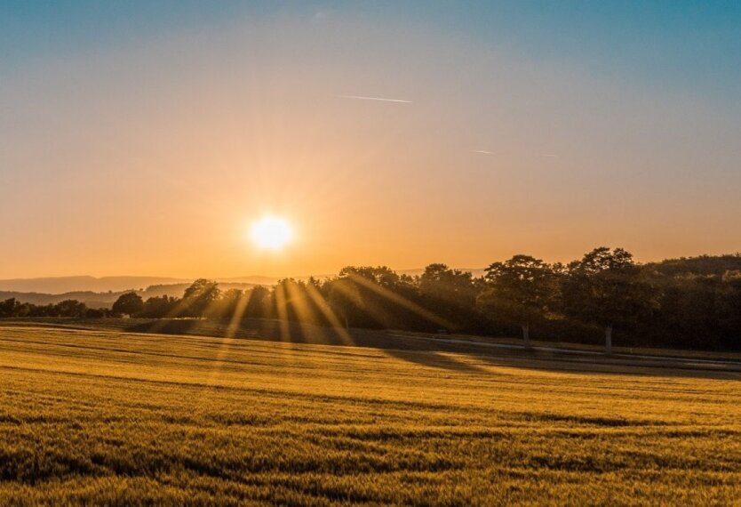 Владельцы разрушенной недвижимости получают землю