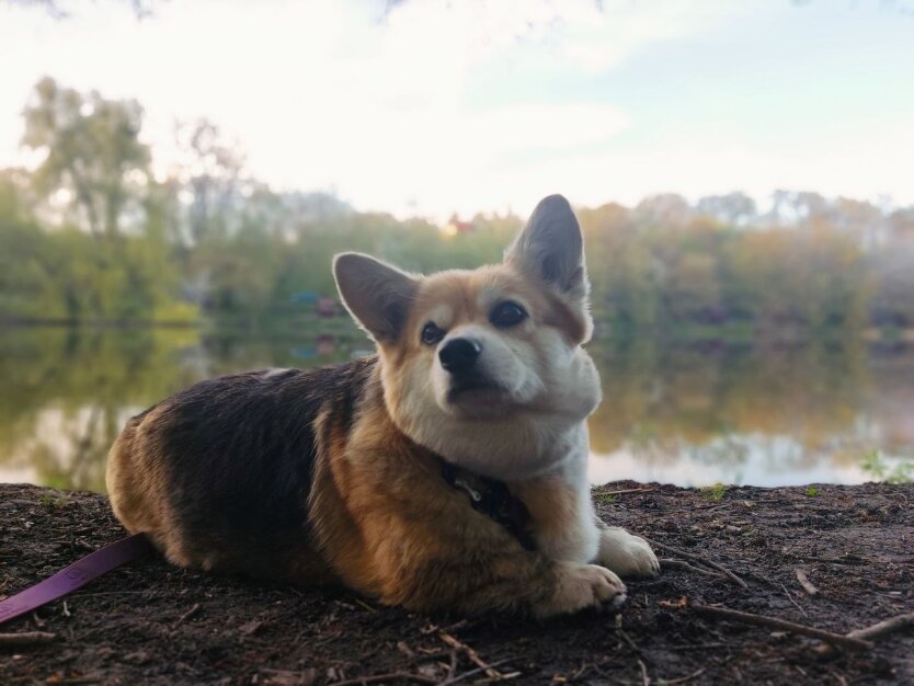 Предупреждение об опасной погоде в Киевщине