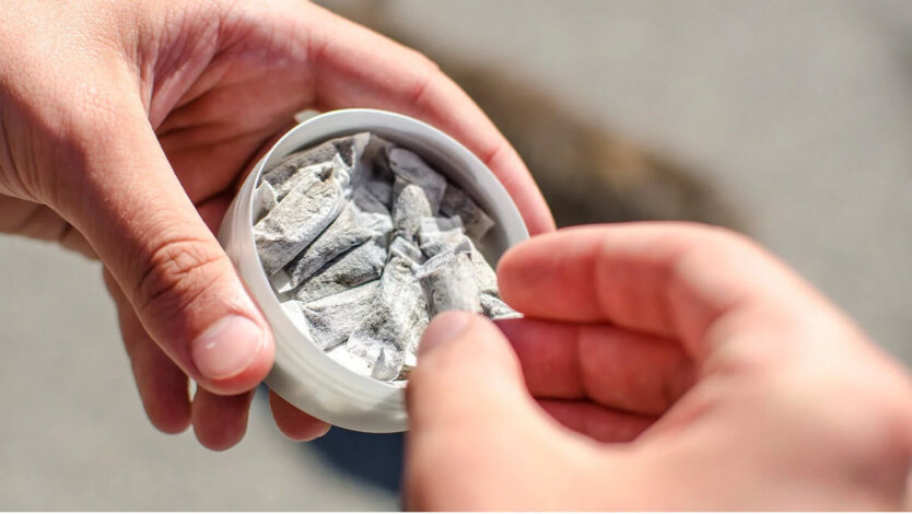 Пауки-подлесники могут быть запрещены в Украине