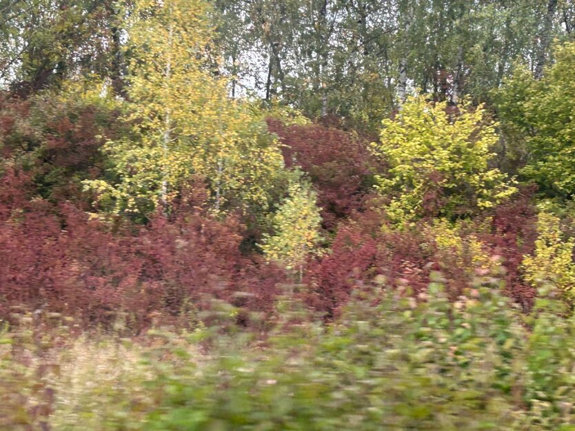 Діденко говорить про падіння температури