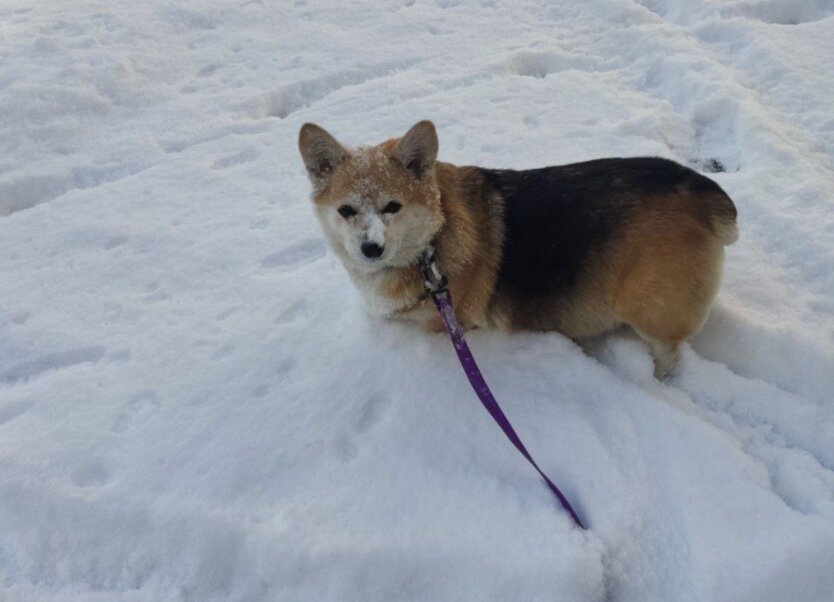 Машина на льоду взимку