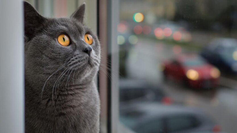 Синоптик Диденко предупреждает о резких изменениях погоды