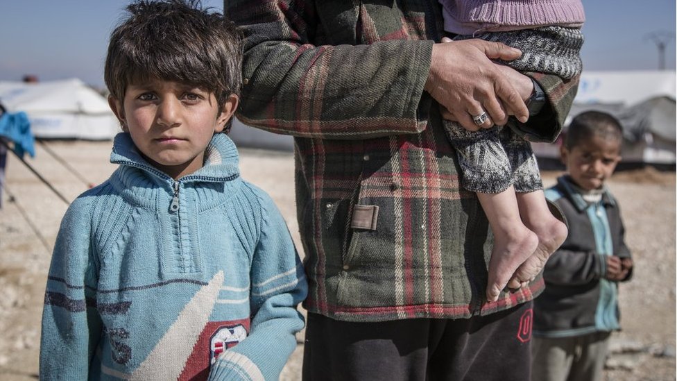 Фото лісу кордону Польщі та Білорусі