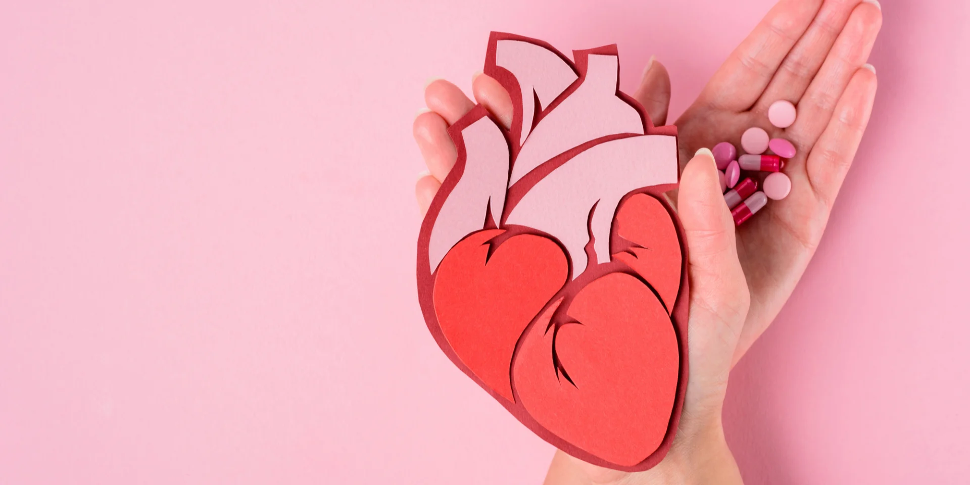 Australian Scientists Confirm Human Heart Cell Regeneration After Heart Attack