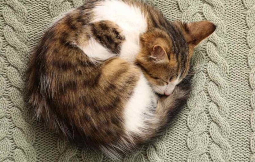 Діденко рассказала о погоде