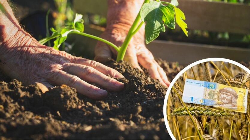 Изображение упрощенной процедуры уплаты за землю