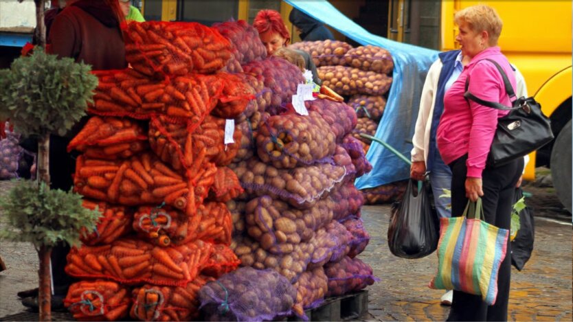 Урожай борщового набору на українському ринку