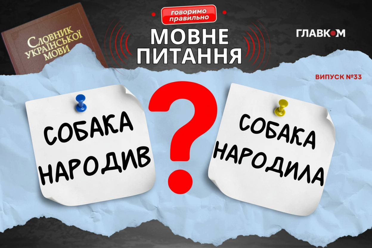 Лингвист объясняет значение слова «собака»