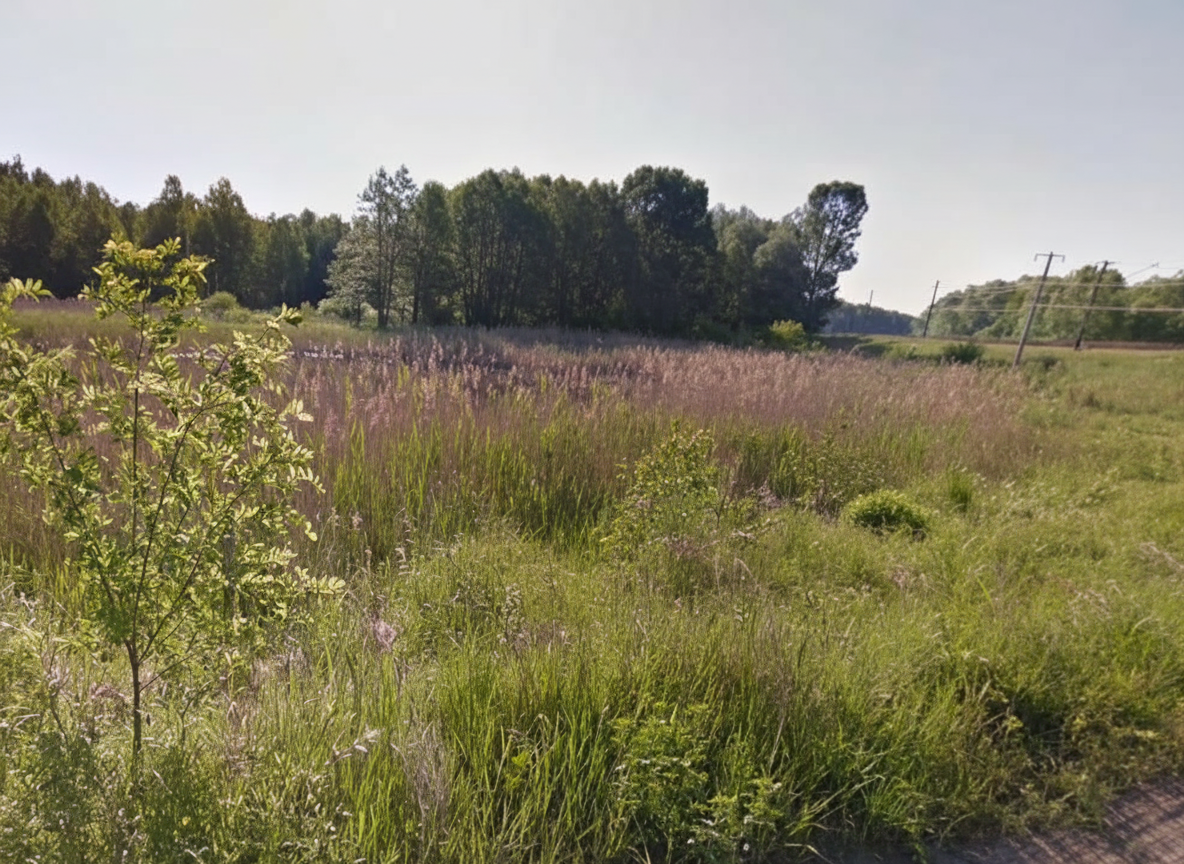 Привласнення землі парку в Києві