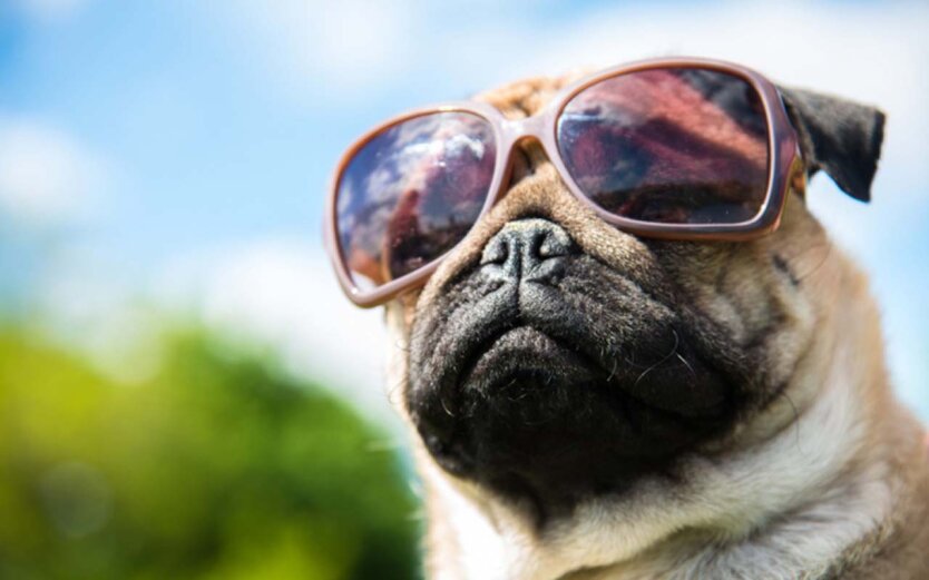 Попередження про спекотний початок тижня