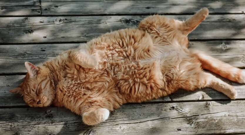 Синоптик Диденко предупреждает об антициклонe Вианельде