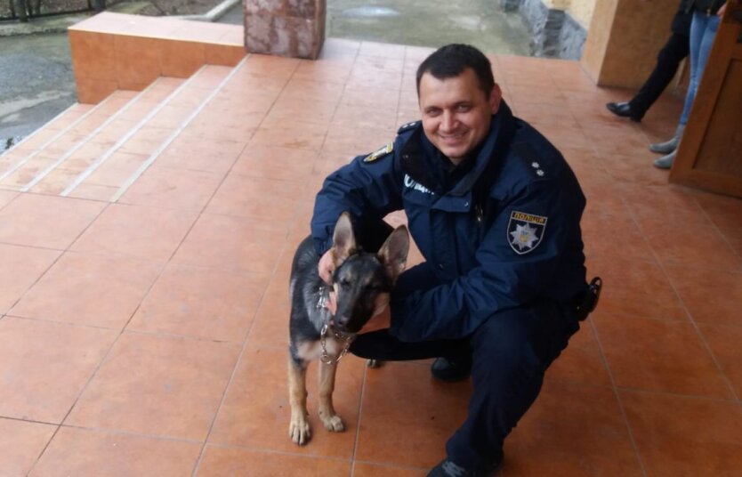 Полицейский вступился за ветерана